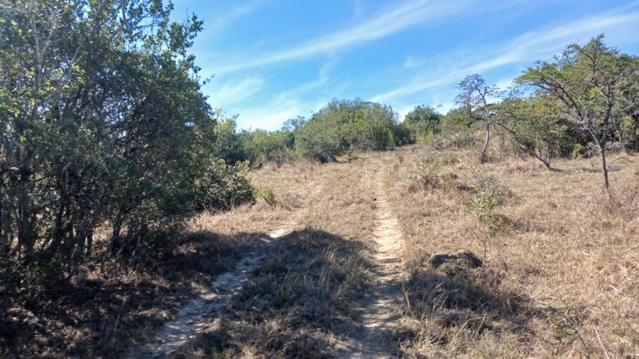 Commercial Property for Sale in Bathurst Rural Eastern Cape